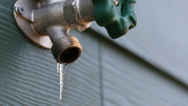 Best Clogged Drain Plumber  in Honey Grove, TX